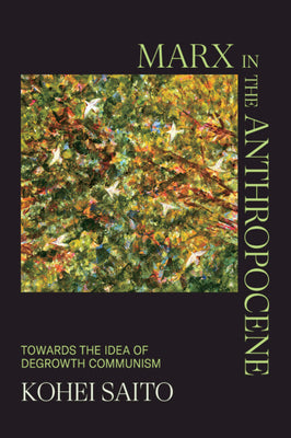 Book cover for Marx in the Anthropocene: Towards the Idea of Degrowth Communism