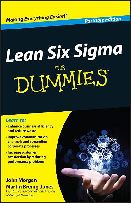 Book cover for Lean Six Sigma For Dummies (Whs Travel)