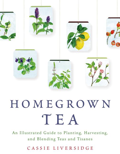 Book cover for Homegrown Tea: An Illustrated Guide to Planting, Harvesting, and Blending Teas and Tisanes
