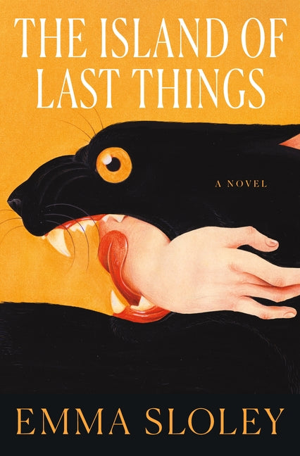 Book cover for Island of Last Things
