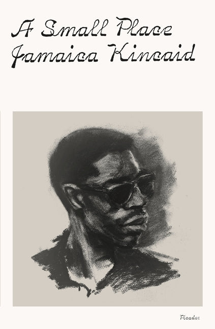 Book cover for Small Place