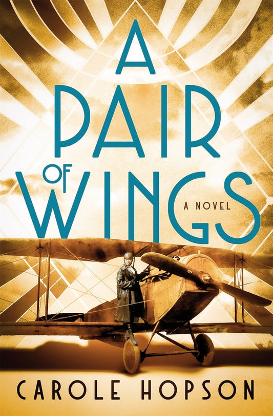 Book cover for A Pair of Wings
