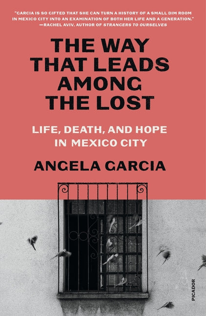 Book cover for Way That Leads Among the Lost: Life, Death, and Hope in Mexico City