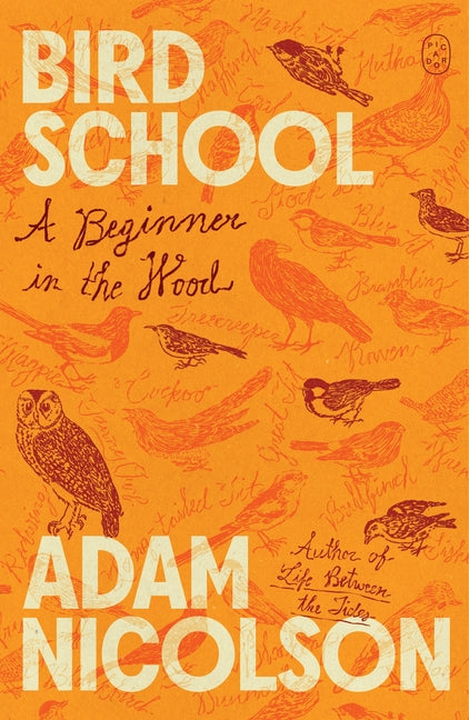 Book cover for Bird School: A Beginner in the Wood