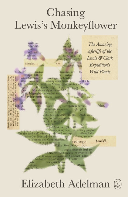 Book cover for Chasing Lewis's Monkeyflower: The Amazing Afterlife of the Lewis and Clark Expedition's Wild Plants