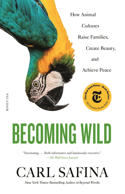 Book cover for Becoming Wild: How Animal Cultures Raise Families, Create Beauty, and Achieve Peace