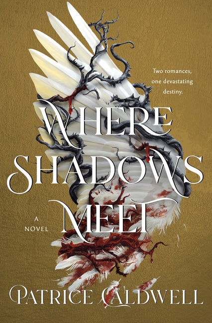 Book cover for Where Shadows Meet