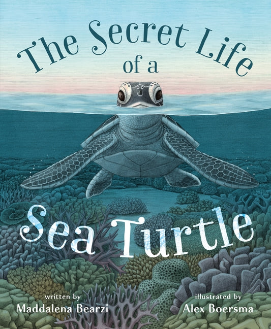 Book cover for Secret Life of a Sea Turtle