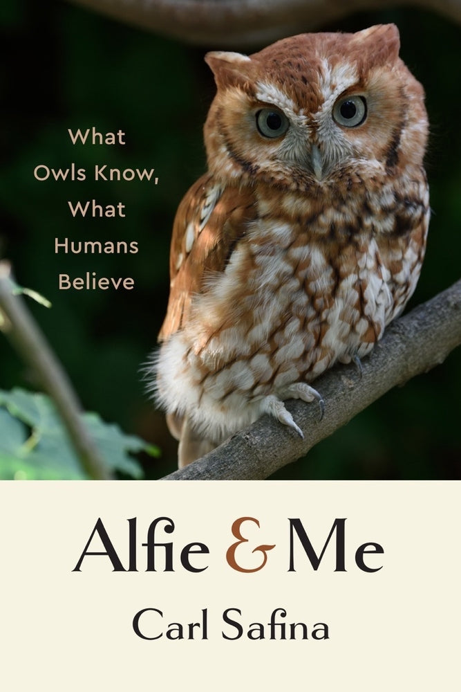 Book cover for Alfie and Me: What Owls Know, What Humans Believe