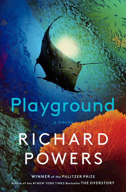 Book cover for Playground