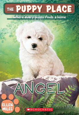 Book cover for Angel (the Puppy Place #46): Volume 46