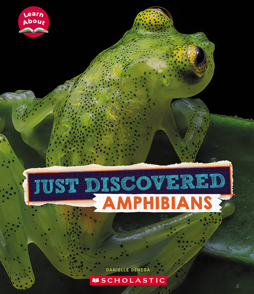 Book cover for Just Discovered Amphibians (Learn About: Animals)