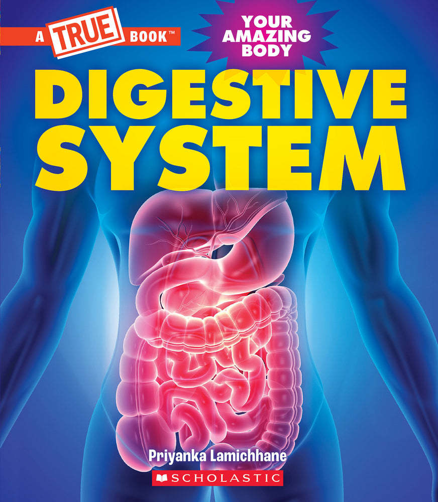 Book cover for Digestive System (a True Book: Your Amazing Body)