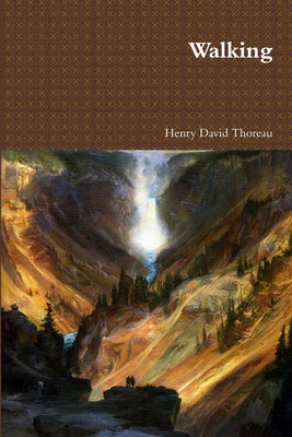 Book cover for Walking