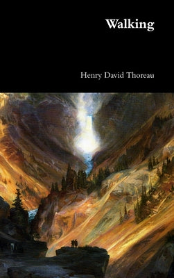 Book cover for Walking