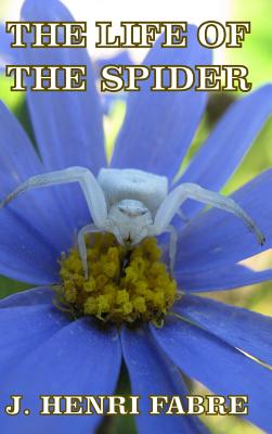 Book cover for The Life of the Spider