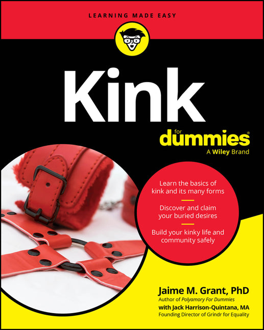 Book cover for Kink for Dummies