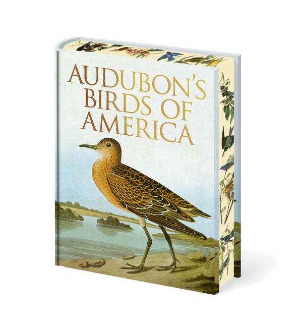 Image for variant 9781398859197