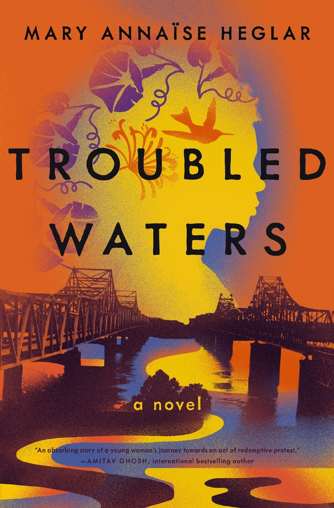 Book cover for Troubled Waters