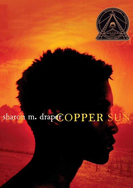 Book cover for Copper Sun
