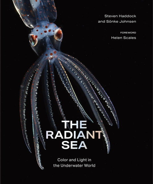 Book cover for Radiant Sea: Color and Light in the Underwater World