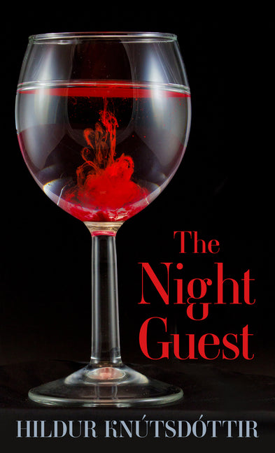 Book cover for Night Guest