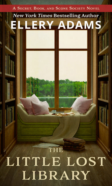 Book cover for Little Lost Library