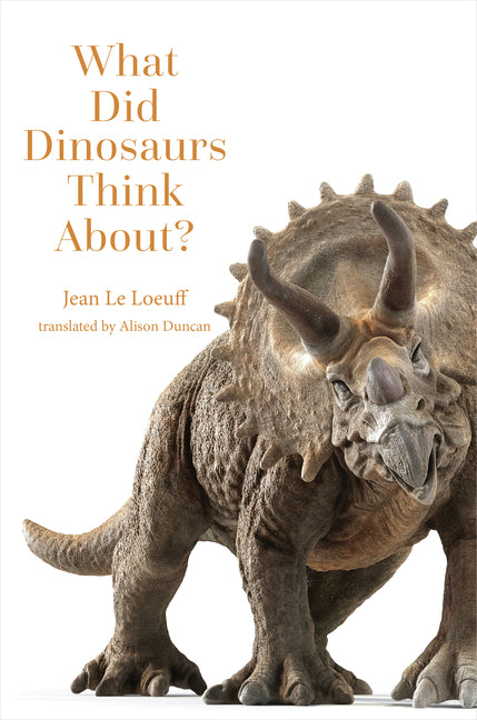 Book cover for What Did Dinosaurs Think About?
