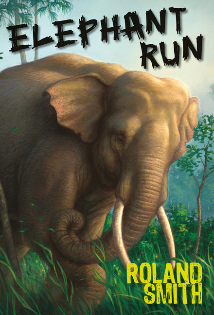 Book cover for Elephant Run