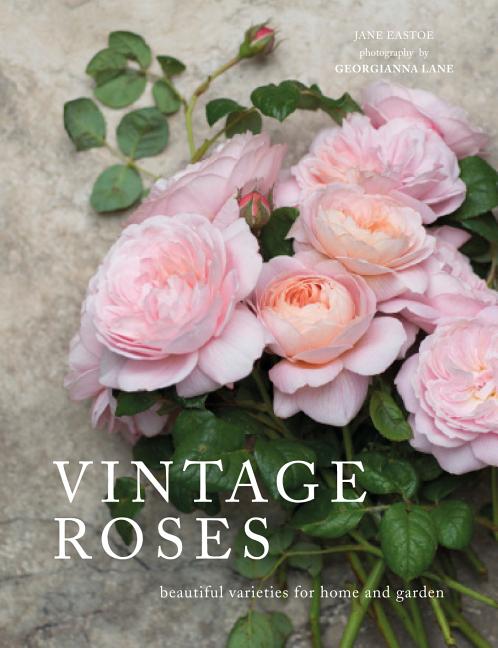 Book cover for Vintage Roses: Beautiful Varieties for Home and Garden