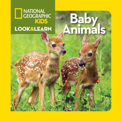 Book cover for Baby Animals