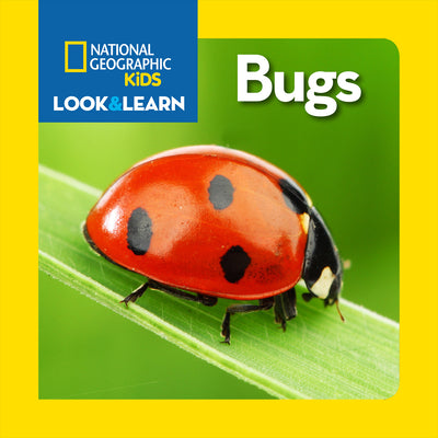 Book cover for National Geographic Kids Look and Learn: Bugs