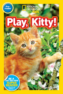 Book cover for Play, Kitty!