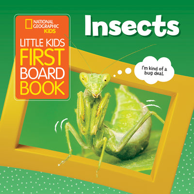 Book cover for Little Kids First Board Book: Insects