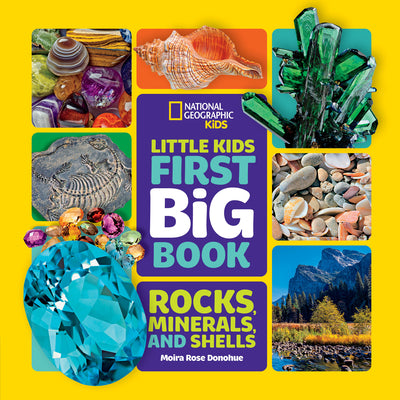 Book cover for Little Kids First Big Book of Rocks, Minerals & Shells