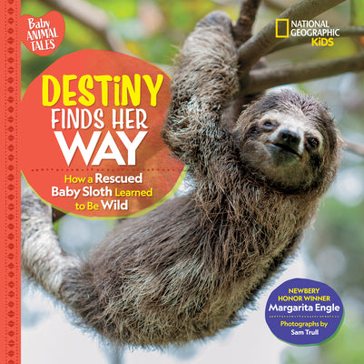 Book cover for Destiny Finds Her Way: How a Rescued Baby Sloth Learned to Be Wild