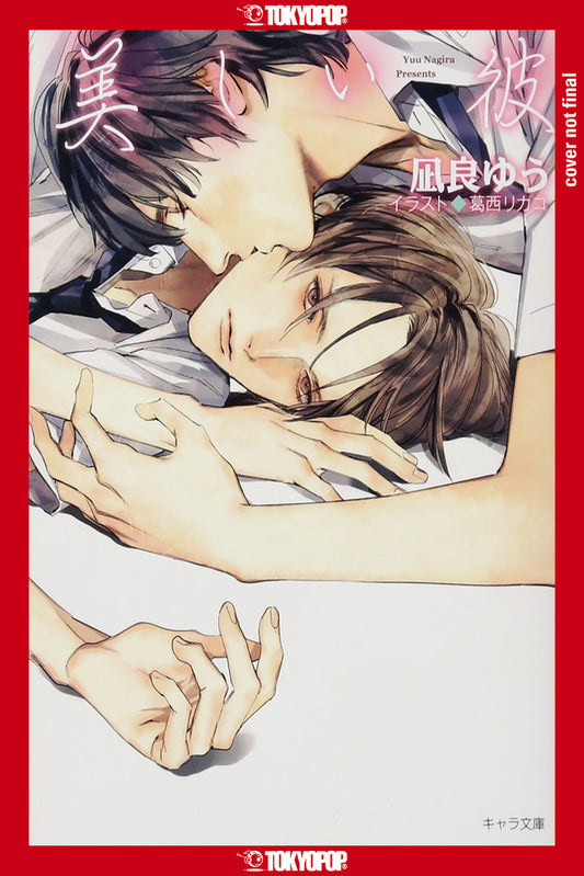 Book cover for My Beautiful Man, Volume 1 (Light Novel)
