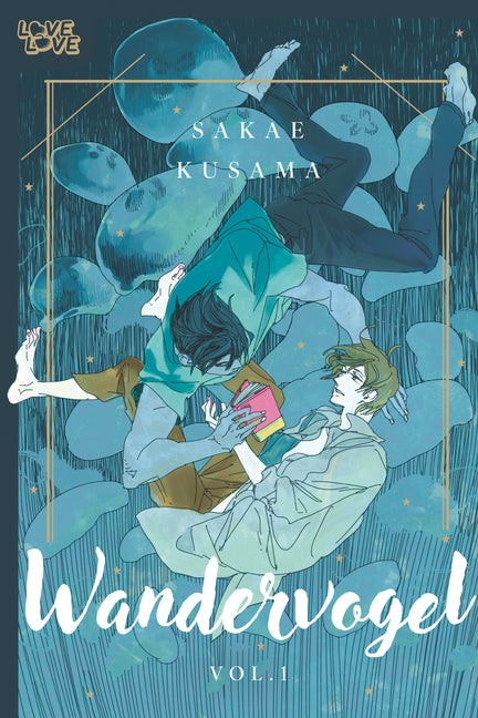Book cover for Wandervogel, Volume 1