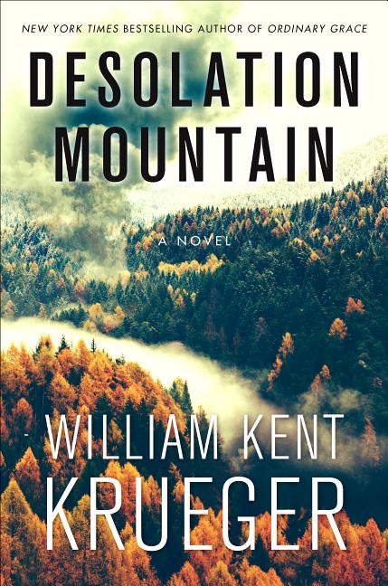 Book cover for Desolation Mountain