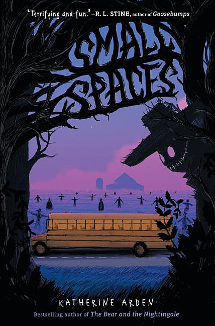Book cover for Small Spaces