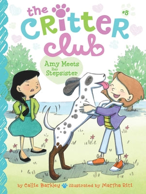 Book cover for Amy Meets Her Stepsister