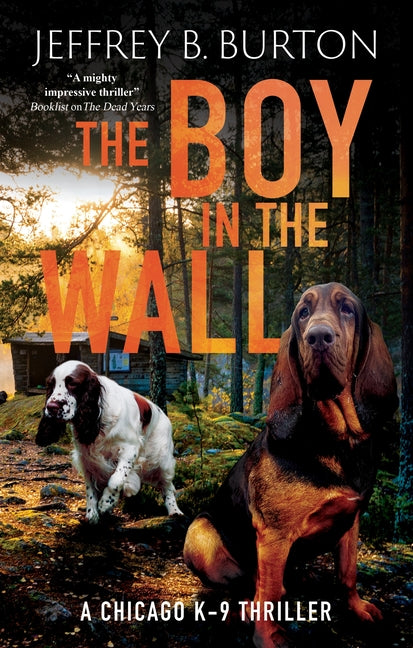 Book cover for Boy in the Wall (Main)