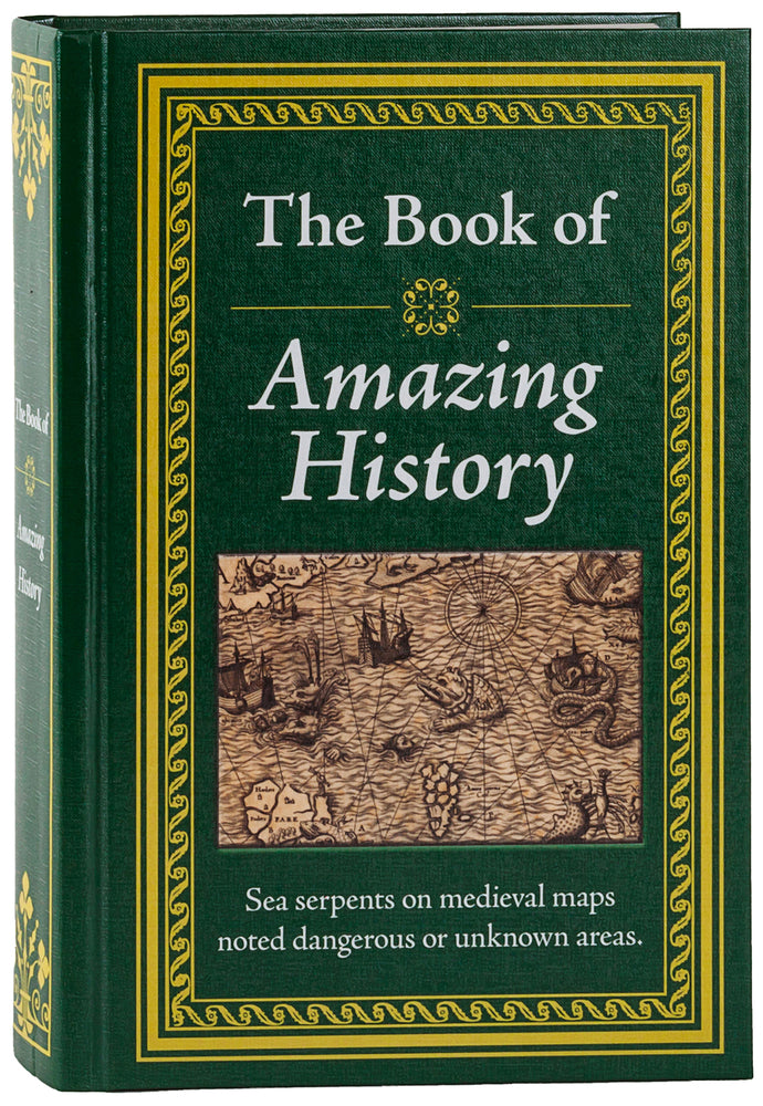 Book cover for The Book of Amazing History