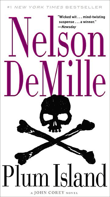 Book cover for Plum Island