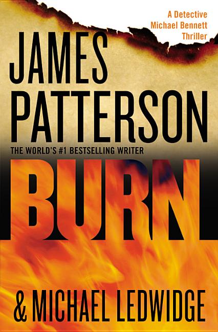 Book cover for Burn