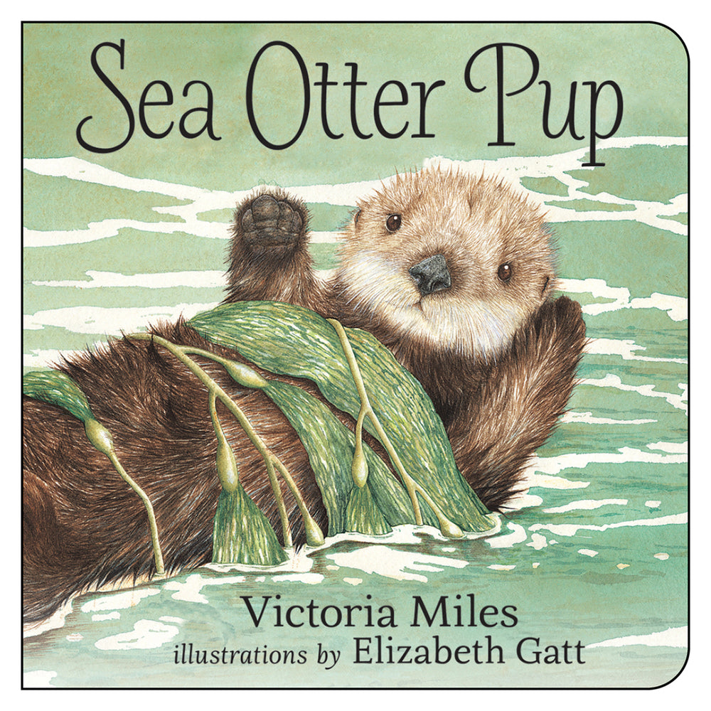Book cover for Sea Otter Pup