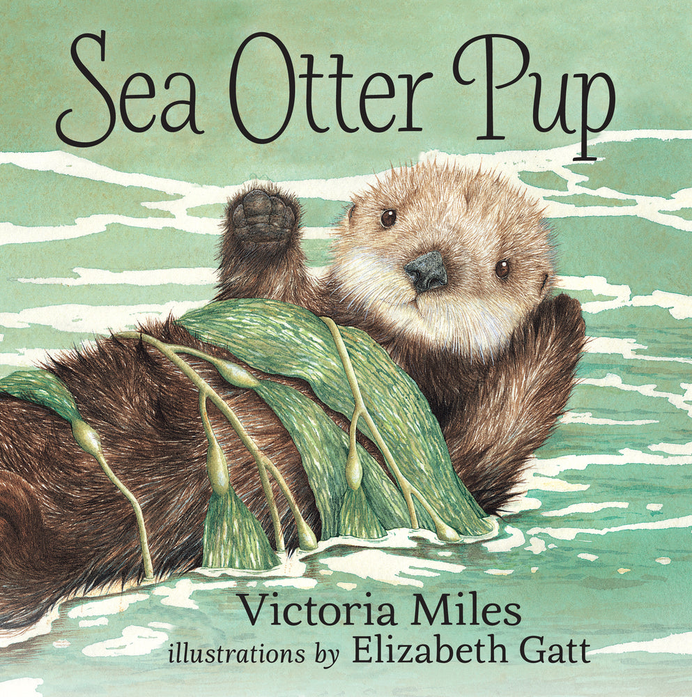 Book cover for Sea Otter Pup