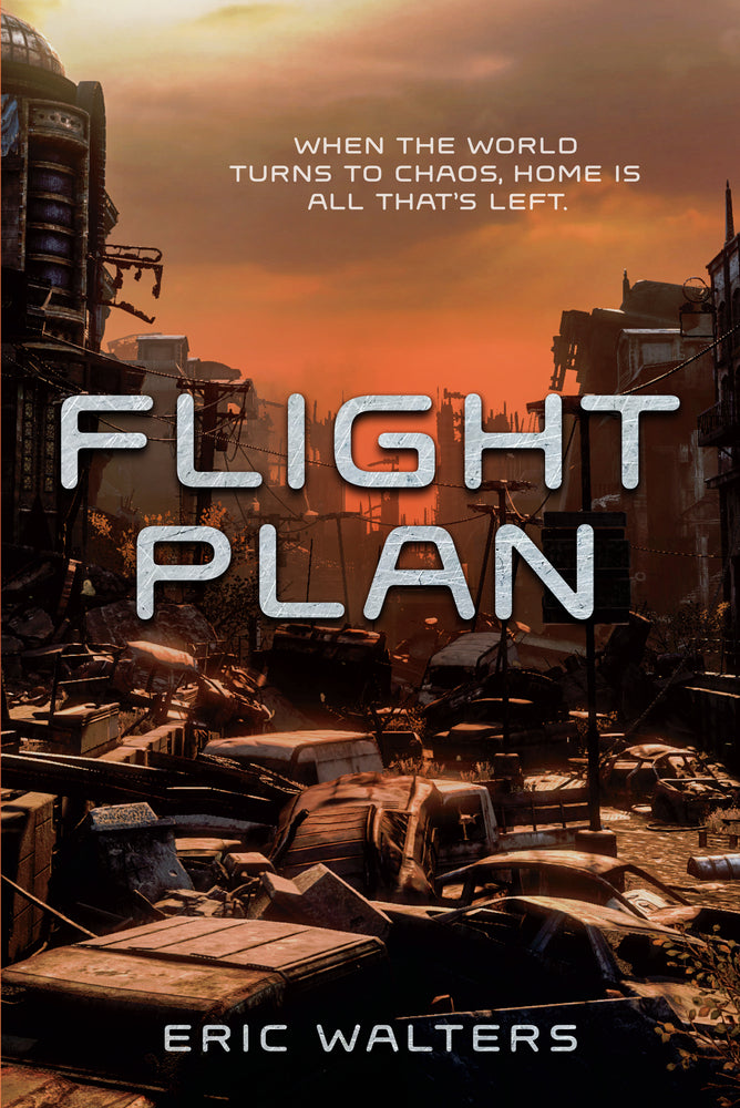 Book cover for Flight Plan