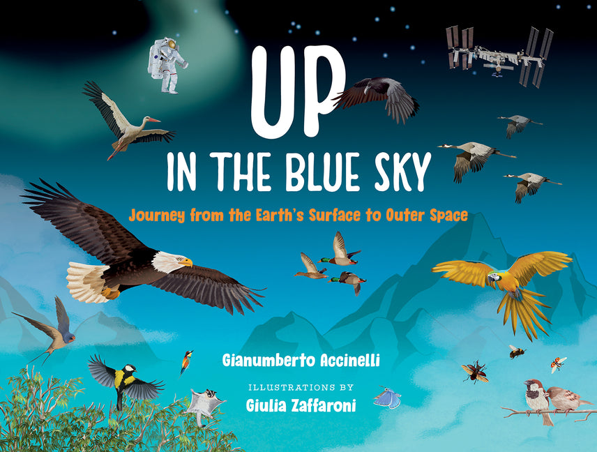 Book cover for Up in the Blue Sky: Journey from the Earth's Surface to Outer Space