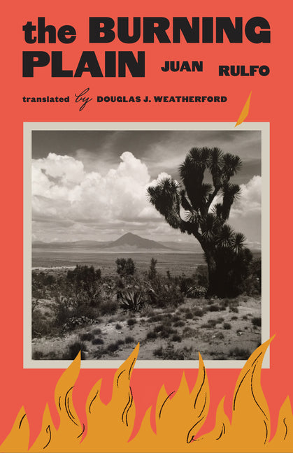 Book cover for Burning Plain